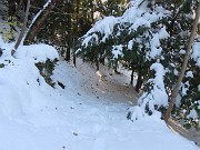40 Scendo alla Chiesa di MIragolo San Marco